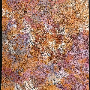 Vibrant Aboriginal art painting by Samantha Daniels, showcasing rich cultural patterns inspired by the central desert. Featured in a Cairns art gallery.