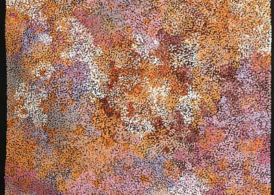 Vibrant Aboriginal art painting by Samantha Daniels, showcasing rich cultural patterns inspired by the central desert. Featured in a Cairns art gallery.