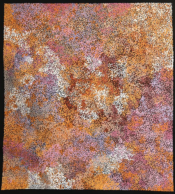 Vibrant Aboriginal art painting by Samantha Daniels, showcasing rich cultural patterns inspired by the central desert. Featured in a Cairns art gallery.